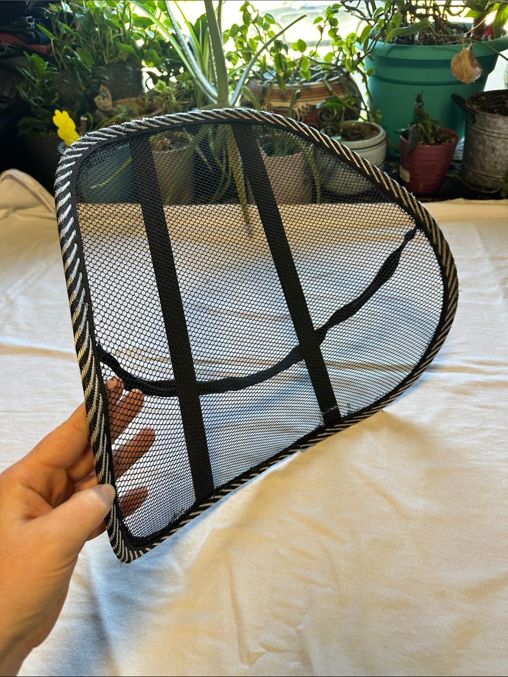 Mesh Back Support - Picture 2 of 3